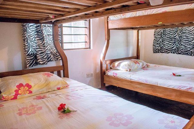 Kijani Cottages Dianiディアニ・ビーチ エクステリア 写真