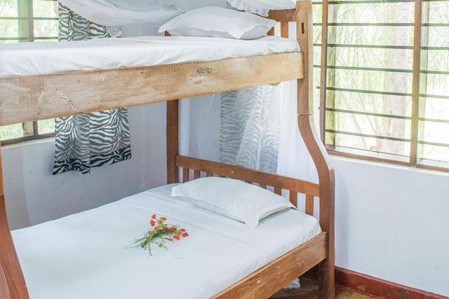 Kijani Cottages Dianiディアニ・ビーチ エクステリア 写真