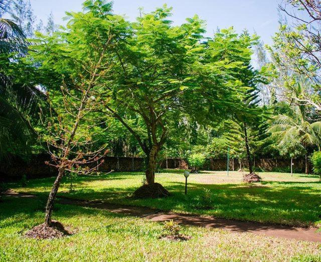 Kijani Cottages Dianiディアニ・ビーチ エクステリア 写真